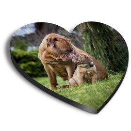 1 x Heart MDF Magnets - Bordeaux Mastiff Puppy Dog 3127