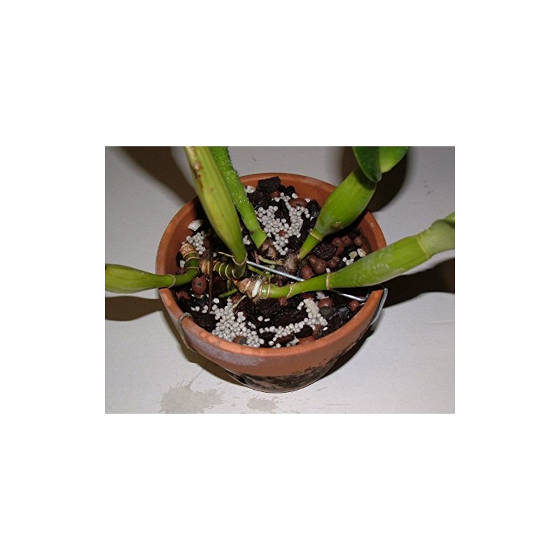 Nutricote 14-4-14 Total Z (1) One 1 lb. in Zip