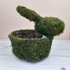 Ashland Moss Bunny Basket Easter 6.5 inch Round Green
