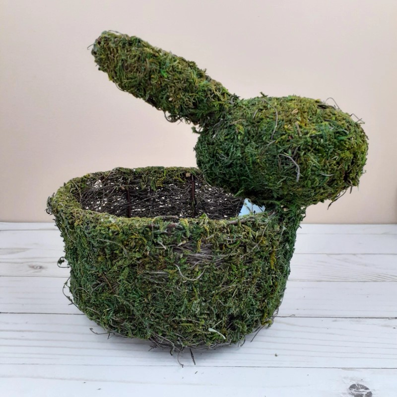 Ashland Moss Bunny Basket Easter 6.5 inch Round Green