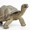 Safari Ltd. Tortoise Figurine - Detailed 8.5" Plastic Model Figure