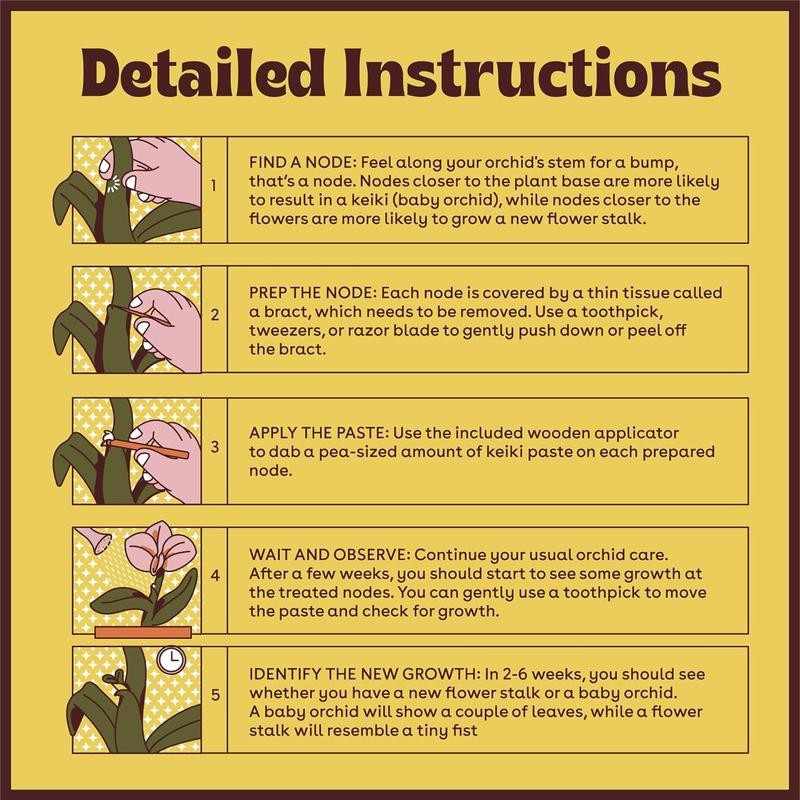 Berkland Orchid Keiki Paste for Plants to Clone & Create