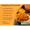 Puregro Turmeric Powder 100g | PACK OF 1 | Haldi