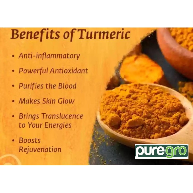 Puregro Turmeric Powder 100g | PACK OF 1 | Haldi