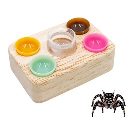 Jumping Spider Accessories, Plastic Feeding Bowl Set with Wooden Base for Food and Water, Mini Bowls, Jumping Spider Feeding Cups, Tarantula Enclosure Accessories