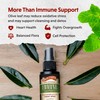 Barlean's Olive Leaf Complex Throat Spray with Peppermint, Lemon, and