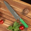 Japanese Chef Knife 9.5 inches, Professional Sushi Knife with Green