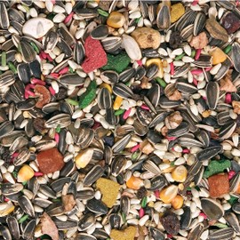 L'Avian Plus Tropical Parrot Food, 20 Lb