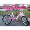 Huffy SWEET THUNDER Decals Only BMX Evel Knievel Both Guard