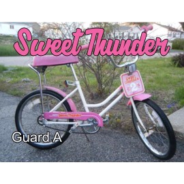 Huffy SWEET THUNDER Decals Only  BMX  Evel Knievel Both Guard Styles