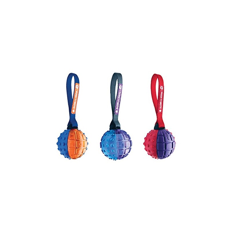 SPOT Ethical Pets Push to Mute Dog Toy, Ball with