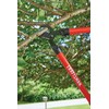Craftsman Bypass Lopper