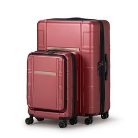Udorich Expandable Suitcase 2-Piece Set, Carry-On Spinner Trolley with Pocket Compartment, Lightweight Travel Luggage, Wine Red Color