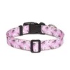 Mercano Adjustable Soft Nylon Dog Collar Comfort & Robust Patterned