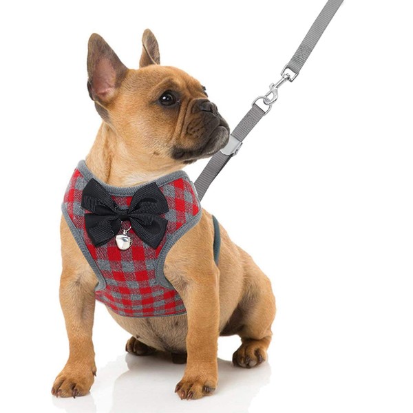 Rypet Small Dog Harness and Leash Set - No Pull