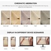 QiCaiJia 2x4 Entryway Area Rugs, Washable Kitchen Rug, Low-Pile Small