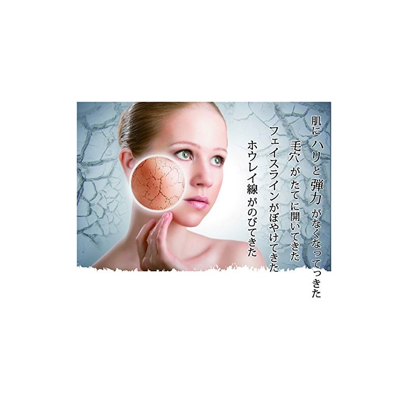 Dermal(ダーマル) シートマスク カタツムリ 10枚セット フェイス パック