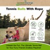 Greenbone Wonderpet! Pull n Play Tennis Ball Toys - Small