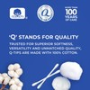 Q-TIPS Swab Vanity TUB 12 Piece 300 Count + Q-tips