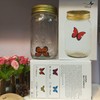 Animated Butterfly in A Jar, Xafissy Butterfly Jar That Moves