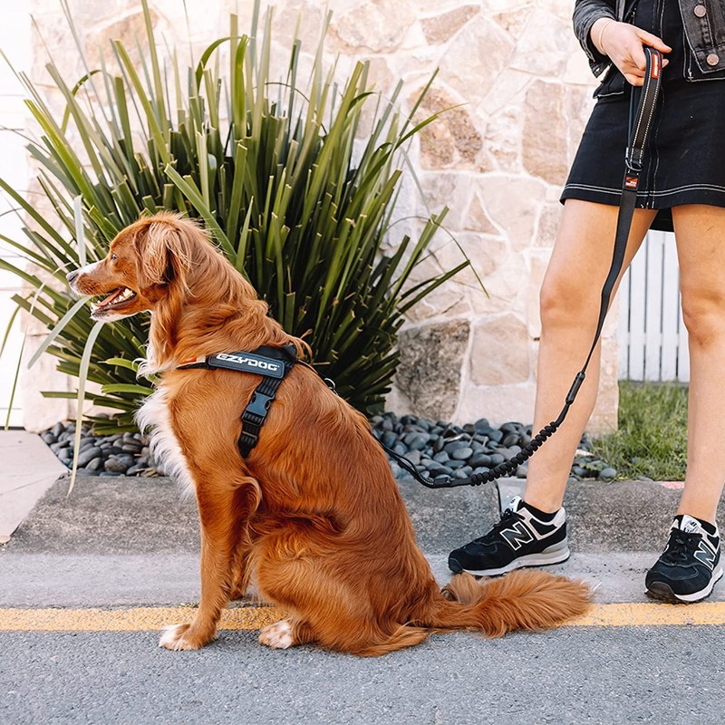 EzyDog Express Dog Harness - Adjustable Dog Harness for Large,