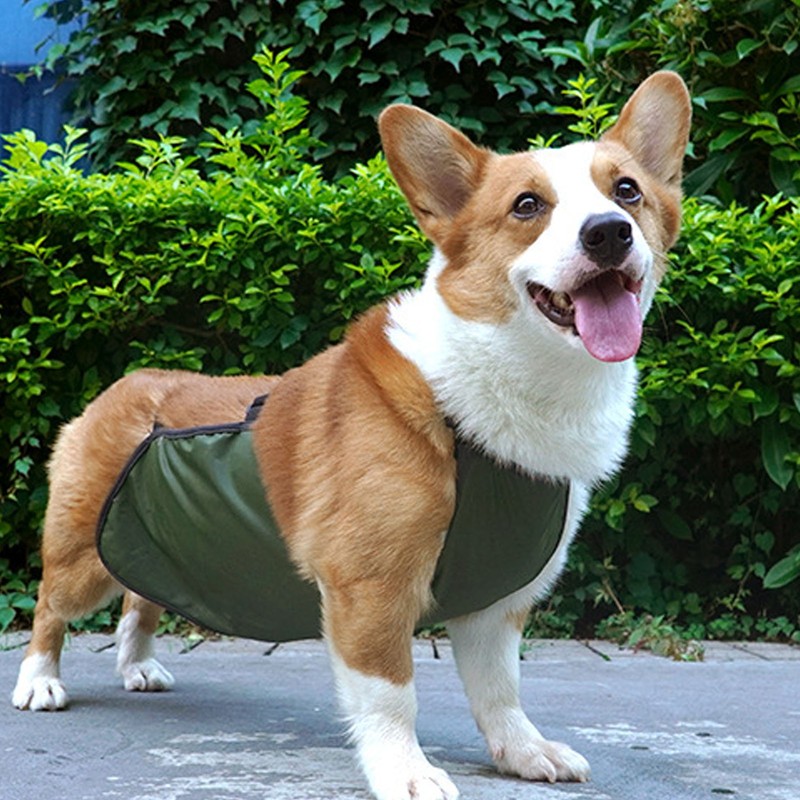 Large Dog Belly Band Waterproof Breathable Full Protection Easy to