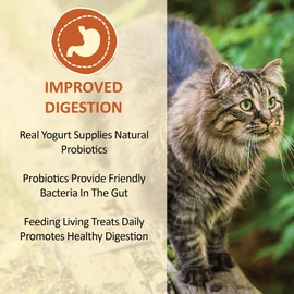 Whole Life Pet USA Sourced and Produced Human Grade Probiotic Freeze Dried Cat Treat, for Healthy Digestion Real Chicken Recipe 1.5 Ounce