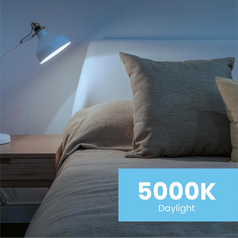 Feit Electric A19 LED Light Bulbs, 60W Equivalent, Non Dimmable,