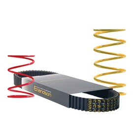 Performance Plus Carts EZGO Heavy Duty Golf Cart Clutch Kit 94-10, Severe Duty Kit