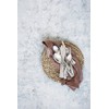 Nicolas Vahe Acain Placemat Set of 2 Diameter 30 cm