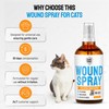 Cat Wound Care Spray with Silver – Wounds, Rashes, Hot