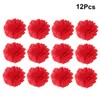 EXCEART 12pcs Tissue Paper Flower Pom Pom Hanging Decorative Honeycomb