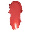 CoverGirl Colorlicious Lipstick, Hot, 0.12 Ounce