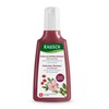 Rausch Wild Rose Colour Protecting Shampoo 200ml - Rausch Wild