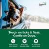 Credelio Tick & Flea Infestation Prevention and Treatment for Dogs