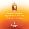 Leisure Time 22339A Spa Up, pH Increaser for Hot Tubs,