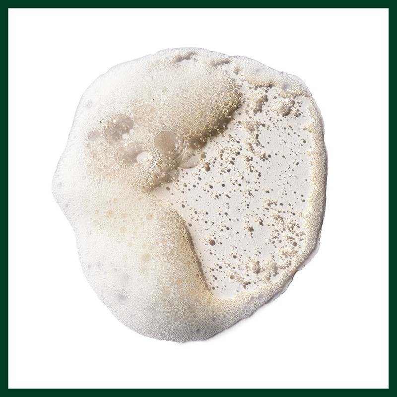 Aveda Pure Abundance Volumizing Shampoo | Adds Volume to Fine