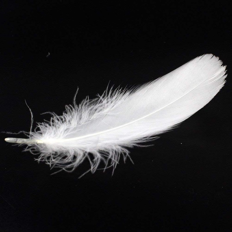 Feather Shower Feathers Plenty of 120 Decorative Feathers Wedding Wedding