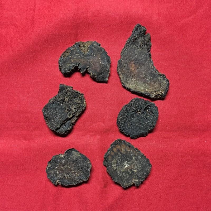 XYP Roucongrong Rou Cong Rong 肉苁蓉 100Gram