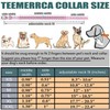 TEEMERRYCA Adjustable Microfiber Leather Spiked Studded Dog Collars with a