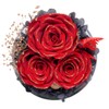 Sunia Preserved Flowers Rose Gifts for Mom, Birthday Gifts for