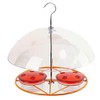 Hummingbird Feeders for Outdoors Hanging Bird Feeder with 8 Feeding