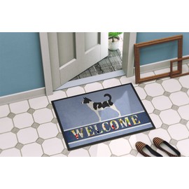 Caroline's Treasures BB8329MAT Canaan Dog Welcome Indoor or Outdoor Mat 18x27, 18H X 27W, Multicolor