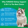 Veterinarian Formulated Kidney Support for Cats & Dogs | 6-in-1