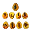 Zaagot Animals Amber for Butterfly Stone Pendant Necklace e for