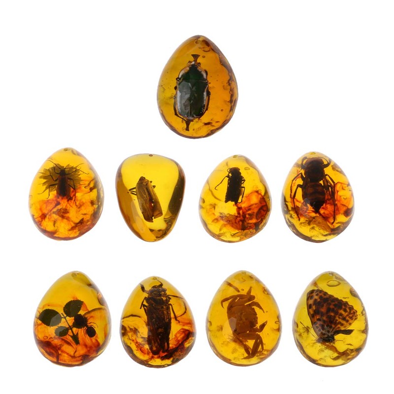 Zaagot Animals Amber for Butterfly Stone Pendant Necklace e for