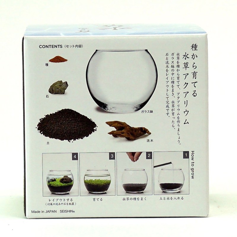 Seishin Ceramics Growing Aquatic Plants S Approx. 12.6x12x11.6cm GD-812