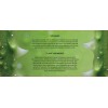 Crema hidratante de aloe vera orgánico puro cuidado de la