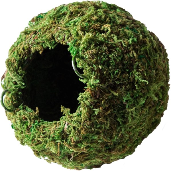 Galapagos Galápagos (05346) Mossy Cave Hide, 4", Green 4",