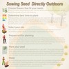 Outsidepride Mouse Melon AKA Mexican Sour Gherkin, Mexican Sour Cucumber